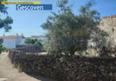 Urban land for sale on España, Valencia de Alcántara, ref: TR123527 photo