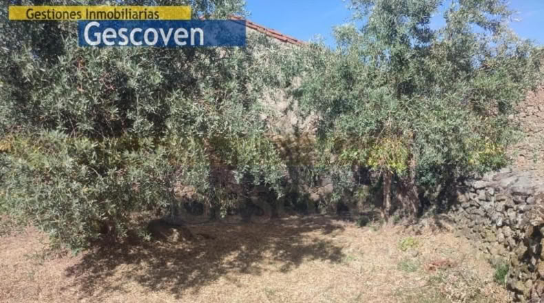 Cáceres - Valencia de Alcántara - 220m2