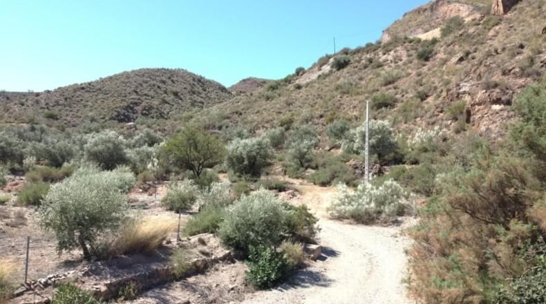 Almeria - Cantoria - 26498m2