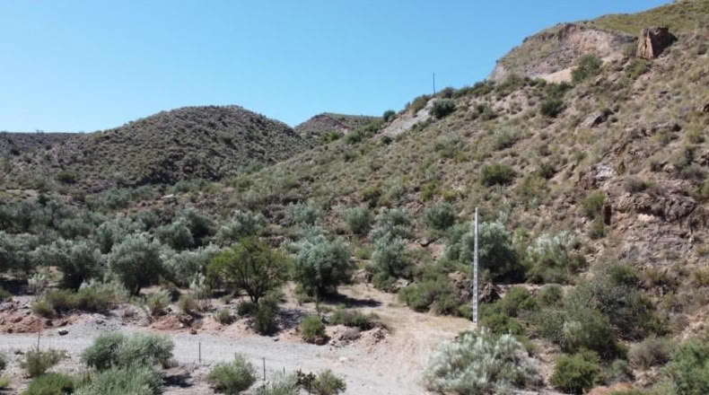 Almeria - Cantoria - 26498m2