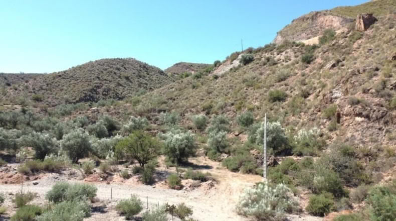 Almeria - Cantoria - 26498m2