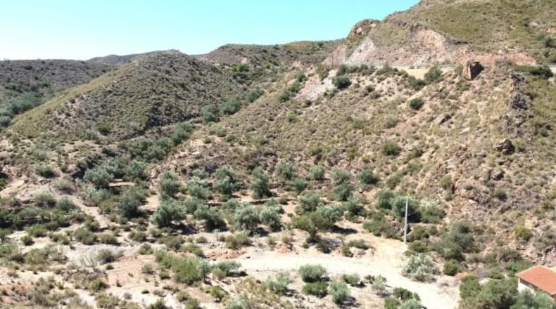 Almeria - Cantoria - 26498m2