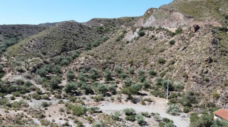 Almeria - Cantoria - 26498m2