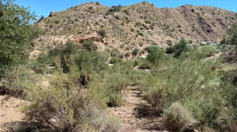 Almeria - Cantoria - 26498m2
