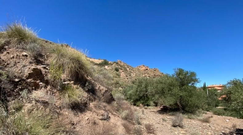 Almeria - Cantoria - 26498m2