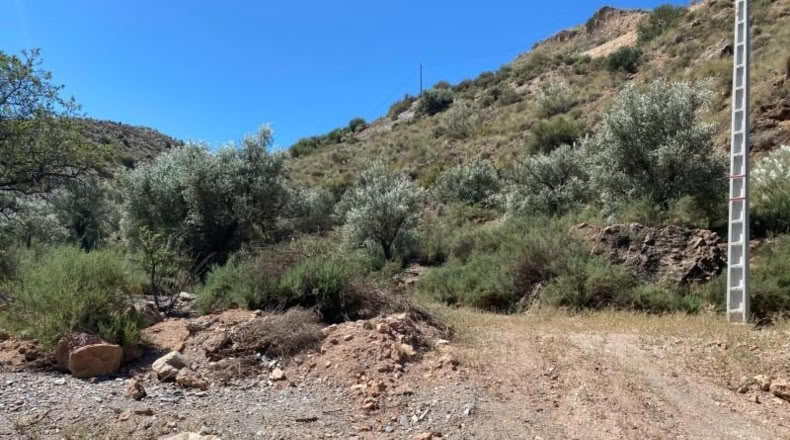 Almeria - Cantoria - 26498m2