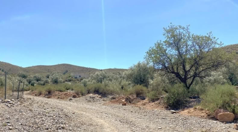Almeria - Cantoria - 26498m2