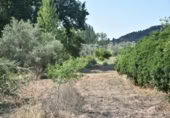 Xalet independent amb terreny en venda a la España, Massalió, ref.: TR304084 foto