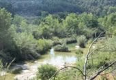 Xalet independent amb terreny en venda a la España, Massalió, ref.: TR304084 foto