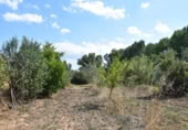 Xalet independent amb terreny en venda a la España, Massalió, ref.: TR304084 foto