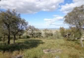 Terreno no urbanizable en venta en la España, Sierra de Fuentes, ref: TR115692 foto