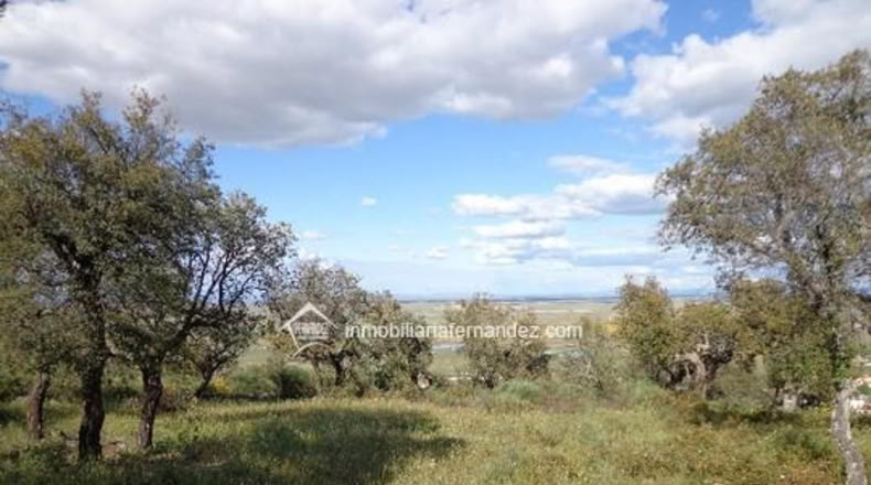 Cáceres - Sierra de Fuentes - 4500m2