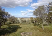 Terreno no urbanizable en venta en la España, Sierra de Fuentes, ref: TR115692 foto