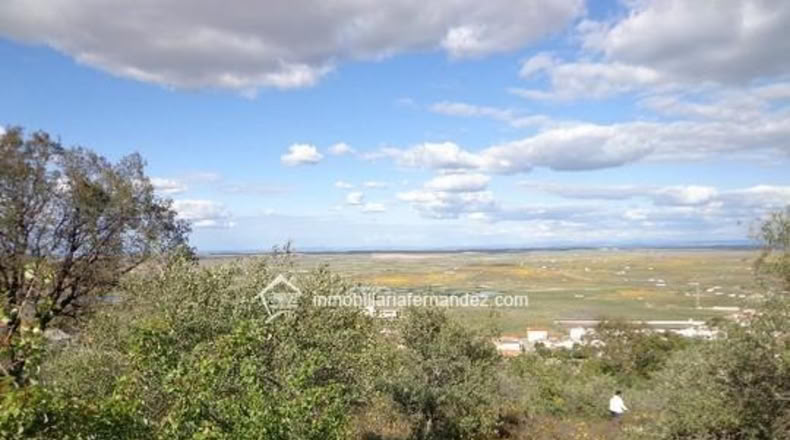 Cáceres - Sierra de Fuentes - 4500m2