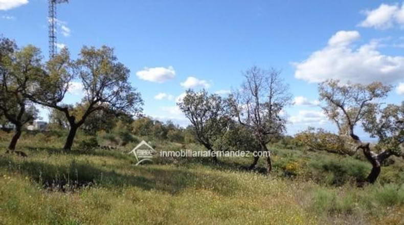 Cáceres - Sierra de Fuentes - 4500m2