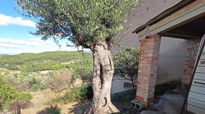 Teruel - Arens de Lledó - 144m2