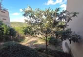Sòl urbà en venda a la España, Calaceit, ref.: TR229724 foto