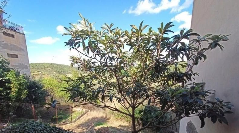 Teruel - Arens de Lledó - 144m2