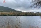 Detached villa with land for sale on España, Ribadavia, ref: TR295464 photo