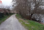 Detached villa with land for sale on España, Ribadavia, ref: TR295464 photo