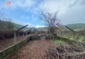 Detached villa with land for sale on España, Ribadavia, ref: TR295464 photo
