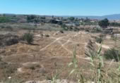 Non-developable land for sale on España, Las Torres de Cotillas, ref: TR306840 photo
