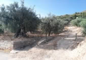 Terreny no urbanitzable en venda a la España, Calasparra, ref.: TR119449 foto