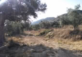 Terreny no urbanitzable en venda a la España, Calasparra, ref.: TR119449 foto
