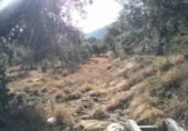 Terreny no urbanitzable en venda a la España, Calasparra, ref.: TR119449 foto