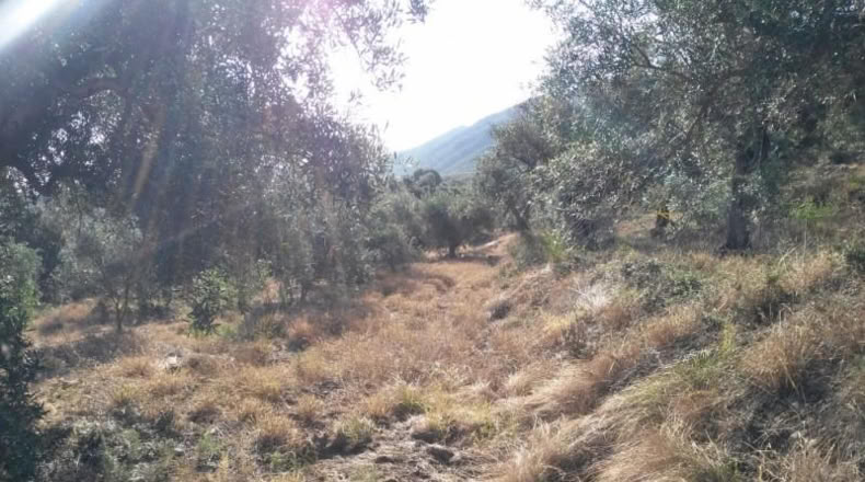 Múrcia - Calasparra - 6759m2