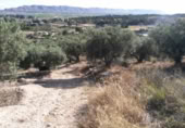 Terreny no urbanitzable en venda a la España, Calasparra, ref.: TR119449 foto