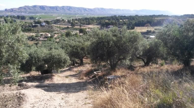 Múrcia - Calasparra - 6759m2