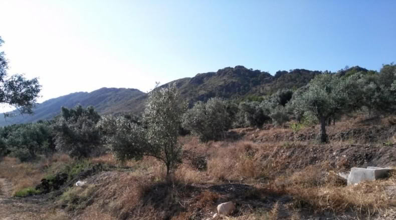 Múrcia - Calasparra - 6759m2