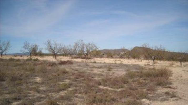Múrcia - Calasparra - 3000m2