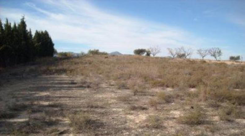 Múrcia - Calasparra - 3000m2