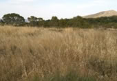 Terreny no urbanitzable en venda a la España, Calasparra, ref.: TR119471 foto