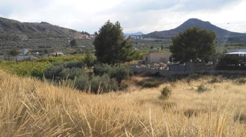 Múrcia - Calasparra - 7974m2