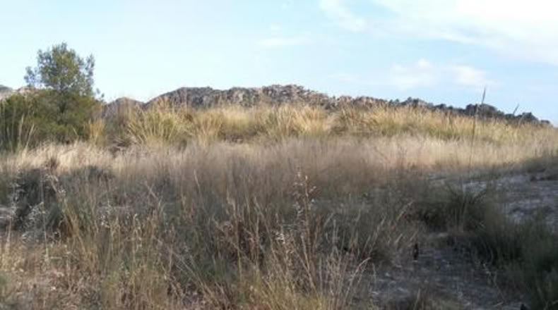 Múrcia - Calasparra - 7974m2