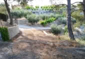Terreny no urbanitzable en venda a la España, Calasparra, ref.: TR119471 foto