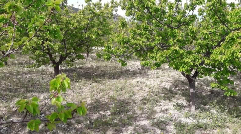 Murcia - Moratalla - 2900m2