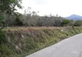 Non-developable land for sale on España, Moratalla, ref: TR143959 photo
