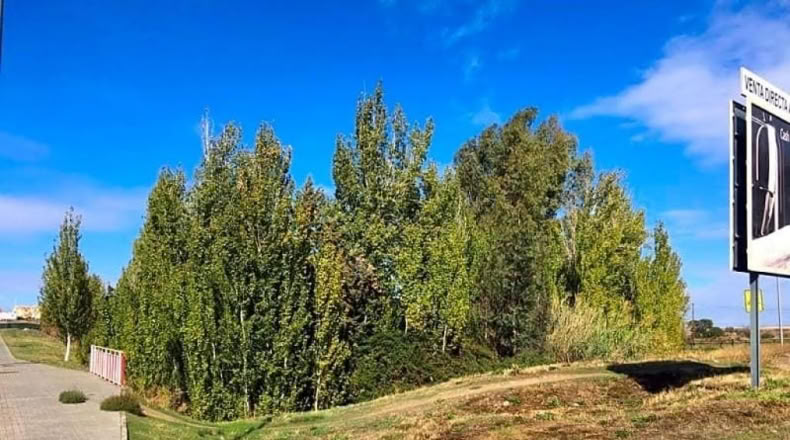 Badajoz - Mèrida - 3036m2