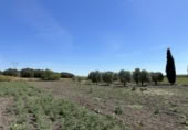 Terreny no urbanitzable en venda a la España, Las Cabezas de San Juan, ref.: TR121632 foto