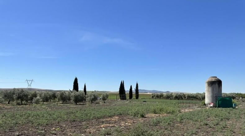 Seville - Las Cabezas de San Juan - 2500m2