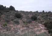 Terreny no urbanitzable en venda a la España, Vilafamés, ref.: TR121897 foto