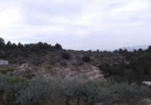 Terreny no urbanitzable en venda a la España, Vilafamés, ref.: TR121897 foto