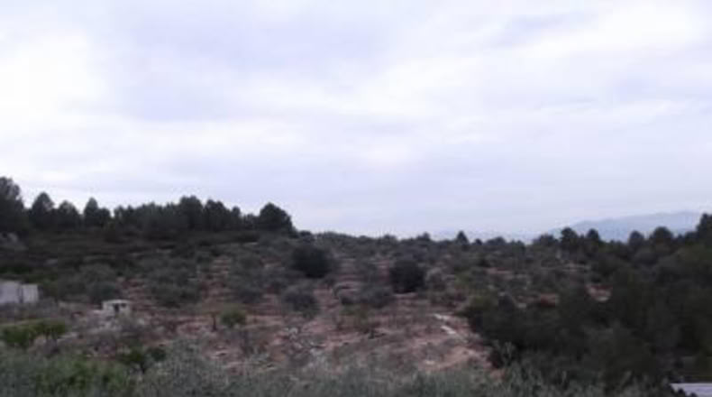Castellón - Vilafamés - 6581m2