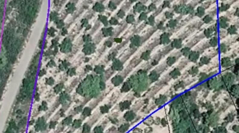 Castellón - Vilafamés - 6581m2