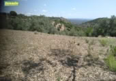 Terreno no urbanizable en venta en la España, Córdoba, ref: TR122479 foto