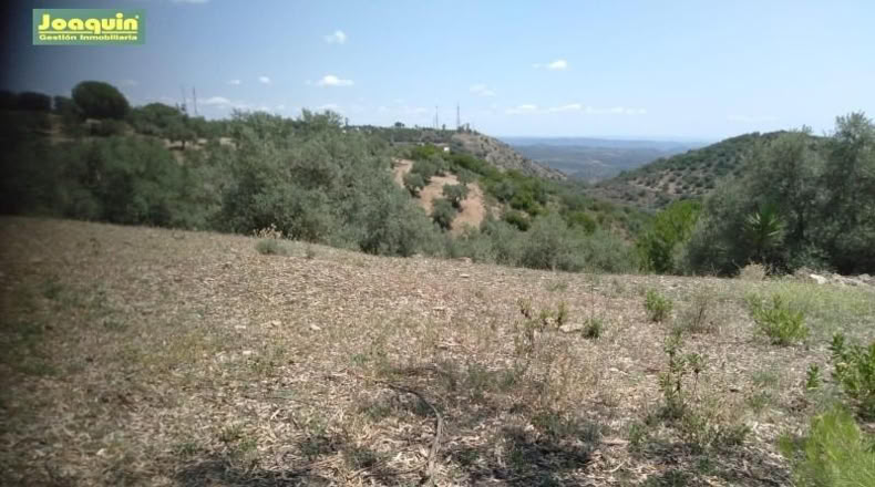 Córdoba - Córdoba - 2710m2